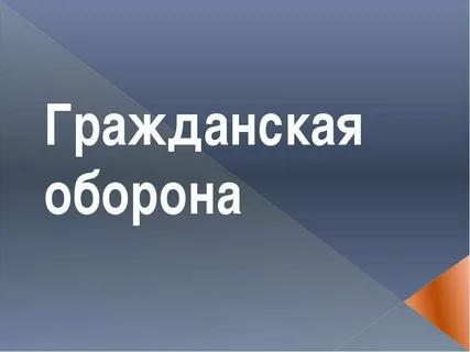 гражданская оборона- гарант безопасности государства и населения