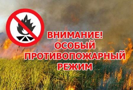 Распоряжение Правительства Орловской области от 12 июля 2023 года № 451-р на территории региона с 12 июля введен особый противопожарный режим.