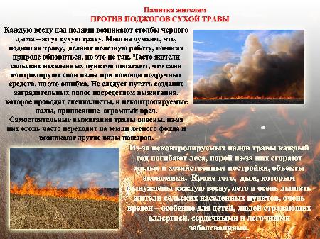 «Не сжигайте сухую траву! Соблюдайте требования пожарной безопасности и в быту и на природе!».